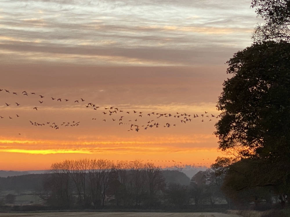 sun set at hadrian shepherd huts